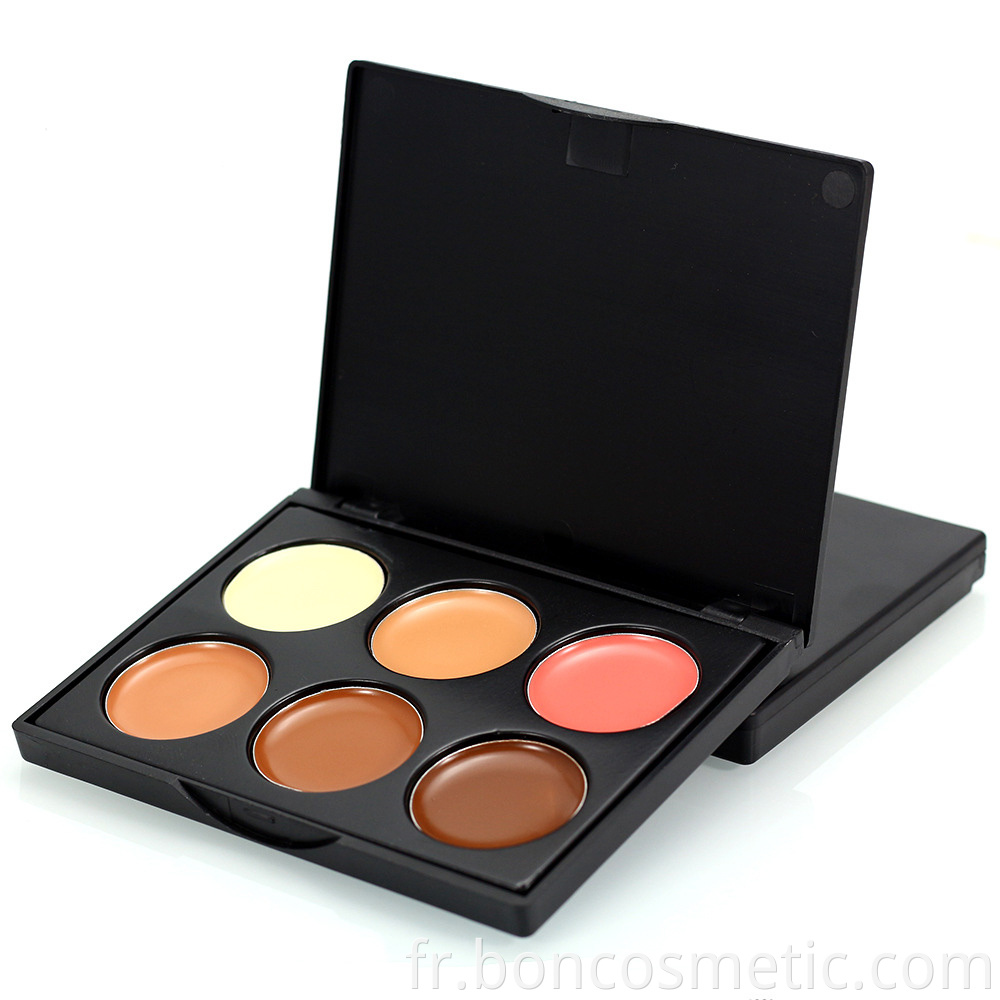 Custom Concealer Palette